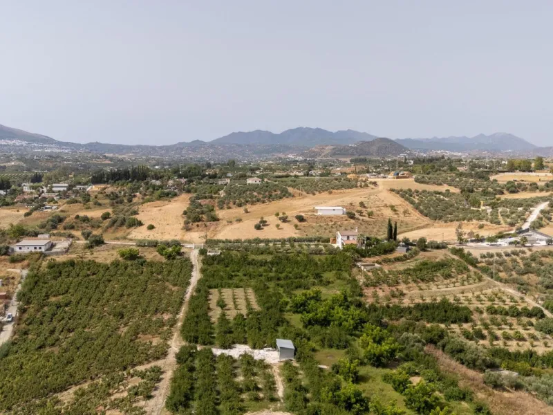 Wonderful finca with almost 50,000 m2 of land, totally fenced, with 5 different entrances, water from its own well plus irrigation water from the canal such us two algibes/ water deposits. T he land is divided into several terraces and planted mainly with