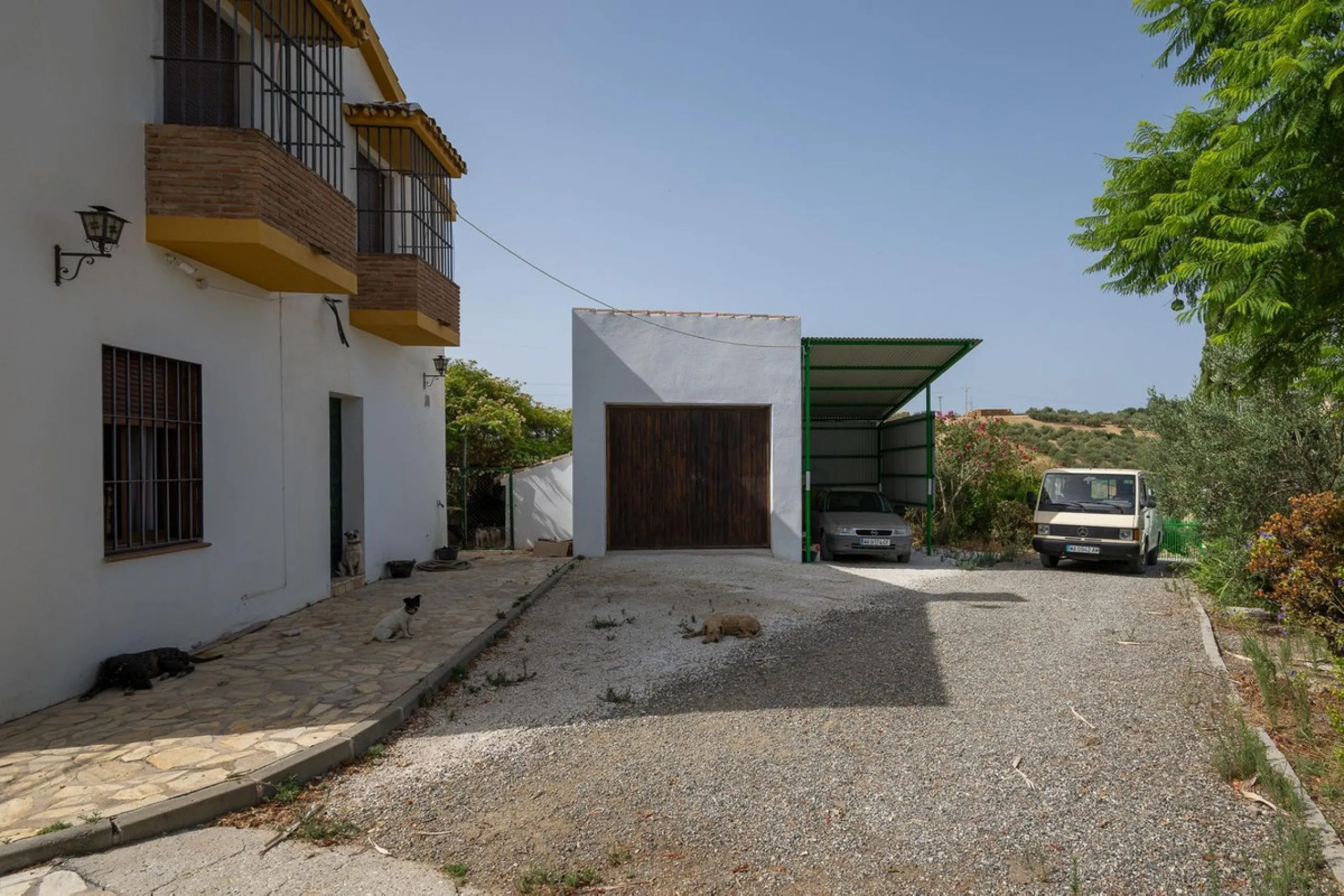 Wonderful finca with almost 50,000 m2 of land, totally fenced, with 5 different entrances, water from its own well plus irrigation water from the canal such us two algibes/ water deposits. T he land is divided into several terraces and planted mainly with