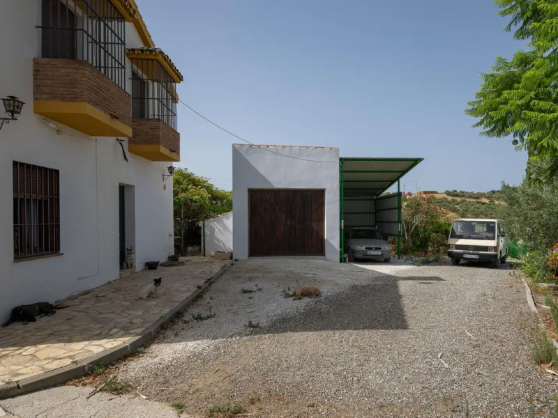 Wonderful finca with almost 50,000 m2 of land, totally fenced, with 5 different entrances, water from its own well plus irrigation water from the canal such us two algibes/ water deposits. T he land is divided into several terraces and planted mainly with