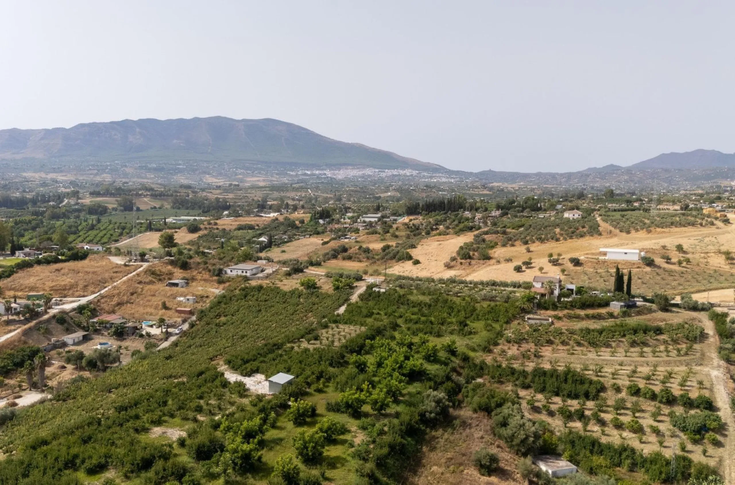 Wonderful finca with almost 50,000 m2 of land, totally fenced, with 5 different entrances, water from its own well plus irrigation water from the canal such us two algibes/ water deposits. T he land is divided into several terraces and planted mainly with