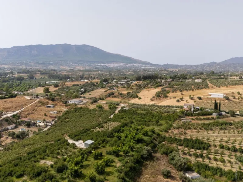Wonderful finca with almost 50,000 m2 of land, totally fenced, with 5 different entrances, water from its own well plus irrigation water from the canal such us two algibes/ water deposits. T he land is divided into several terraces and planted mainly with