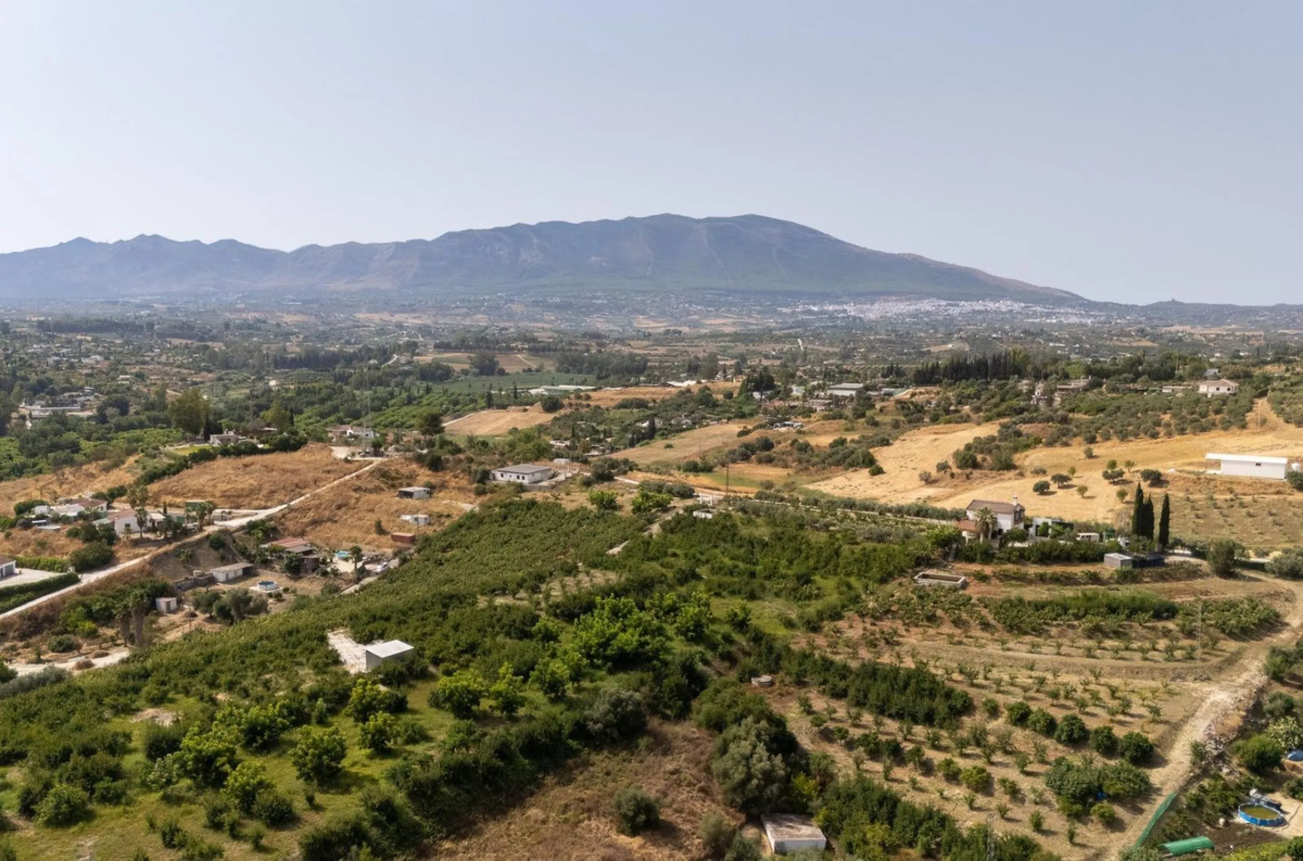 Wonderful finca with almost 50,000 m2 of land, totally fenced, with 5 different entrances, water from its own well plus irrigation water from the canal such us two algibes/ water deposits. T he land is divided into several terraces and planted mainly with
