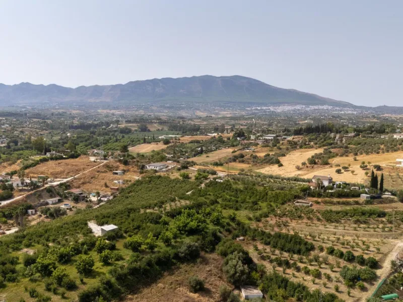 Wonderful finca with almost 50,000 m2 of land, totally fenced, with 5 different entrances, water from its own well plus irrigation water from the canal such us two algibes/ water deposits. T he land is divided into several terraces and planted mainly with