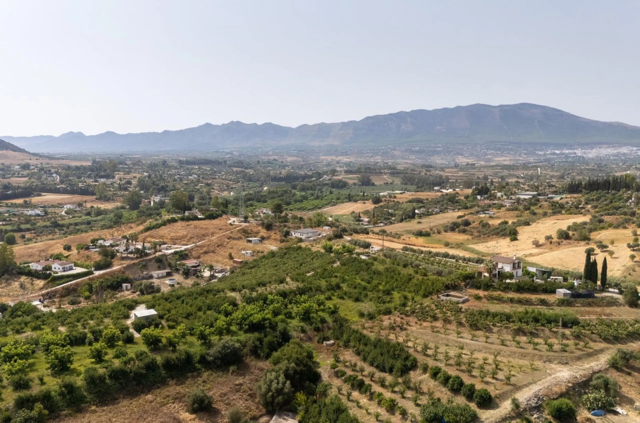 Wonderful finca with almost 50,000 m2 of land, totally fenced, with 5 different entrances, water from its own well plus irrigation water from the canal such us two algibes/ water deposits. T he land is divided into several terraces and planted mainly with