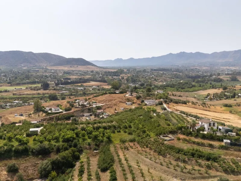Wonderful finca with almost 50,000 m2 of land, totally fenced, with 5 different entrances, water from its own well plus irrigation water from the canal such us two algibes/ water deposits. T he land is divided into several terraces and planted mainly with