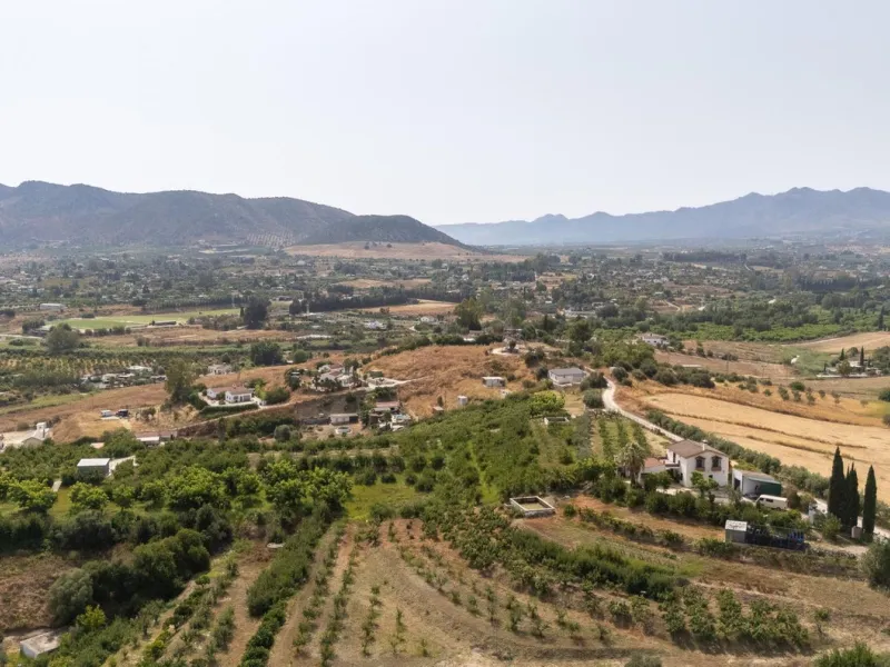 Wonderful finca with almost 50,000 m2 of land, totally fenced, with 5 different entrances, water from its own well plus irrigation water from the canal such us two algibes/ water deposits. T he land is divided into several terraces and planted mainly with