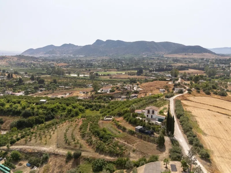 Wonderful finca with almost 50,000 m2 of land, totally fenced, with 5 different entrances, water from its own well plus irrigation water from the canal such us two algibes/ water deposits. T he land is divided into several terraces and planted mainly with