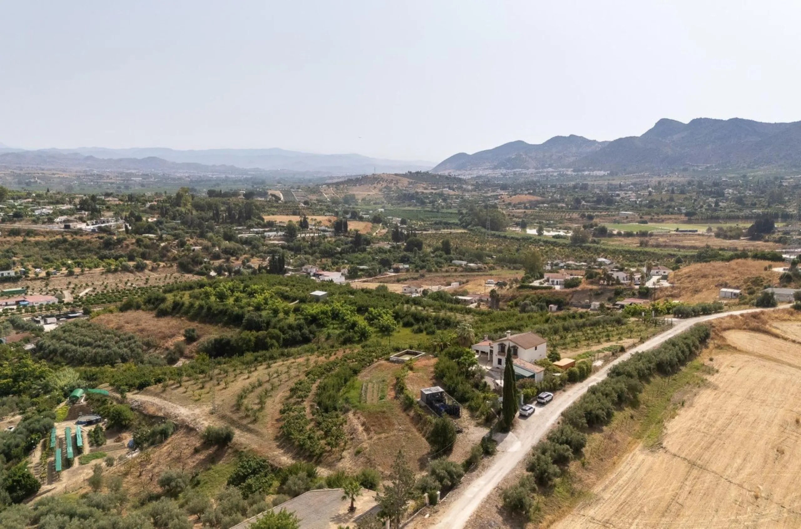 Wonderful finca with almost 50,000 m2 of land, totally fenced, with 5 different entrances, water from its own well plus irrigation water from the canal such us two algibes/ water deposits. T he land is divided into several terraces and planted mainly with