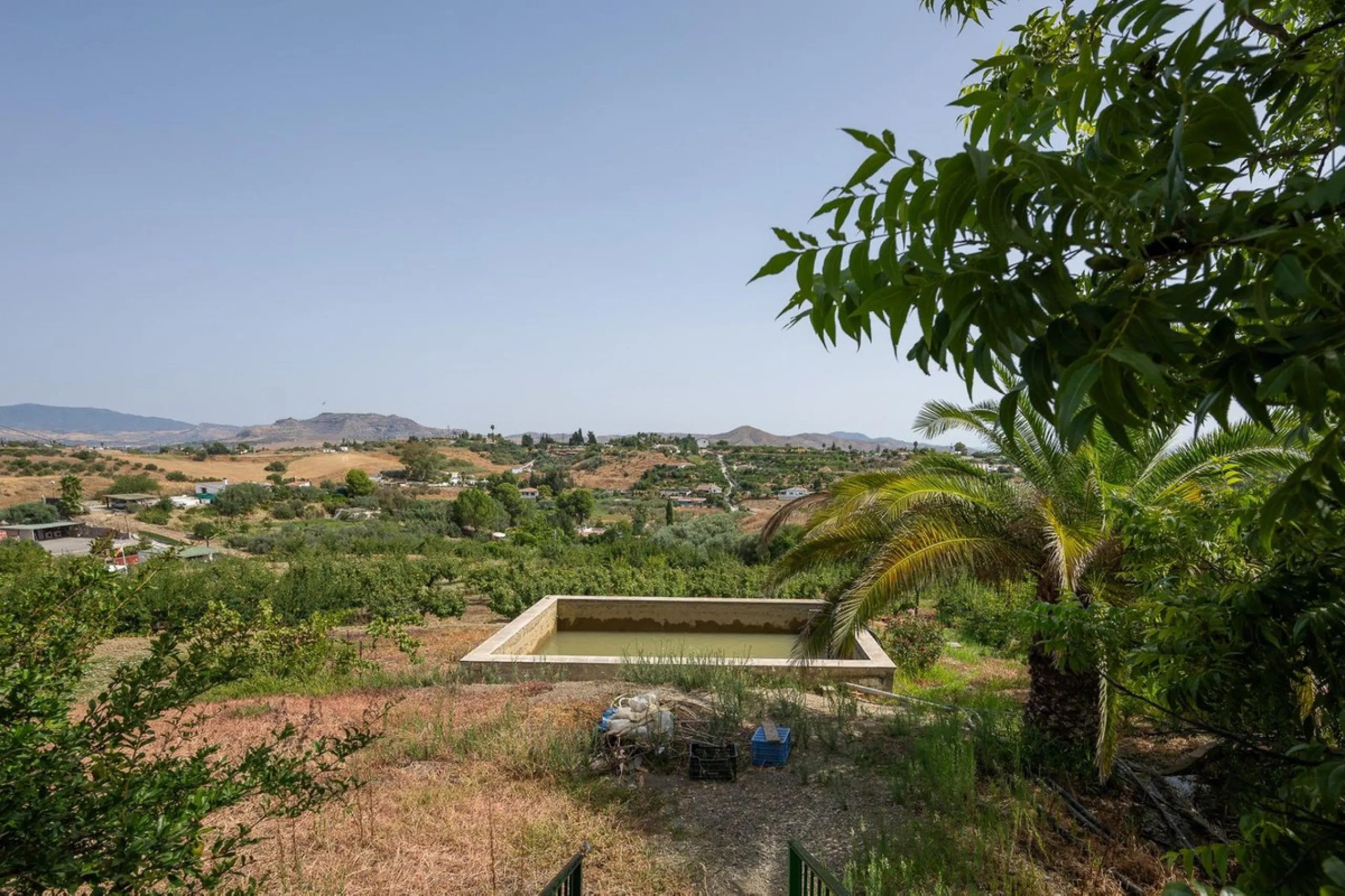 Wonderful finca with almost 50,000 m2 of land, totally fenced, with 5 different entrances, water from its own well plus irrigation water from the canal such us two algibes/ water deposits. T he land is divided into several terraces and planted mainly with