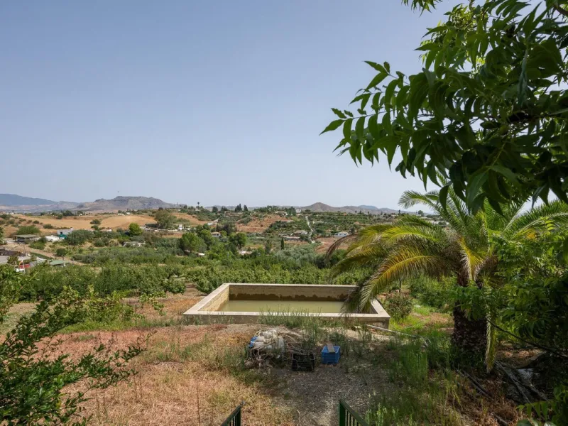 Wonderful finca with almost 50,000 m2 of land, totally fenced, with 5 different entrances, water from its own well plus irrigation water from the canal such us two algibes/ water deposits. T he land is divided into several terraces and planted mainly with