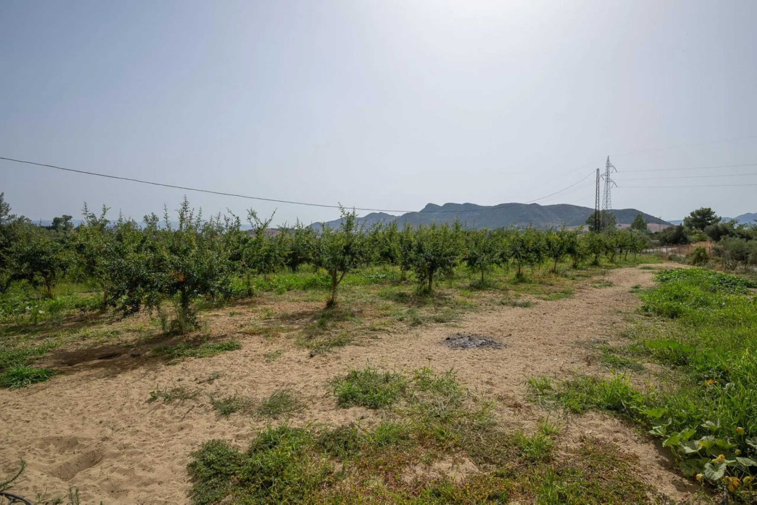 Wonderful finca with almost 50,000 m2 of land, totally fenced, with 5 different entrances, water from its own well plus irrigation water from the canal such us two algibes/ water deposits. T he land is divided into several terraces and planted mainly with