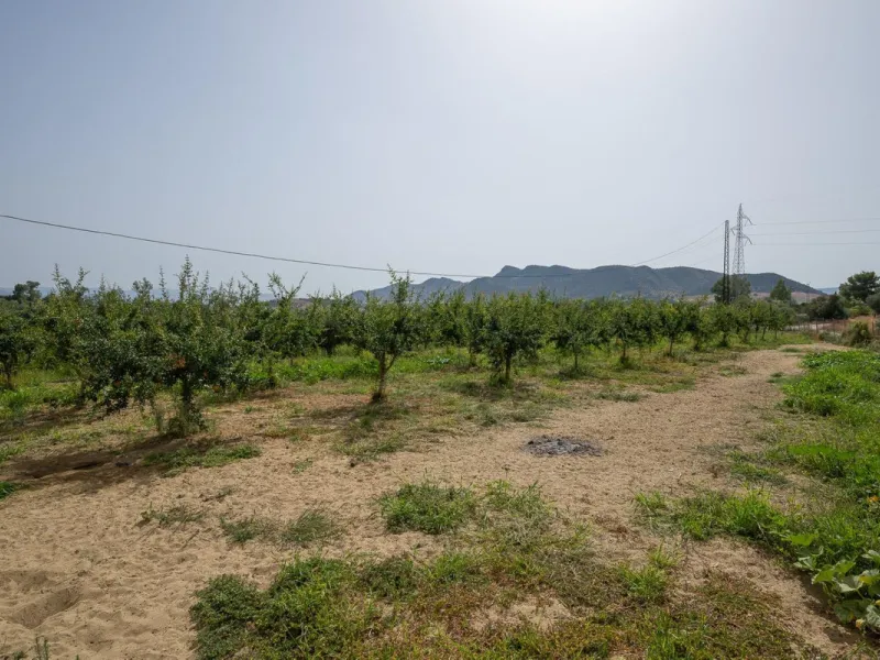 Wonderful finca with almost 50,000 m2 of land, totally fenced, with 5 different entrances, water from its own well plus irrigation water from the canal such us two algibes/ water deposits. T he land is divided into several terraces and planted mainly with