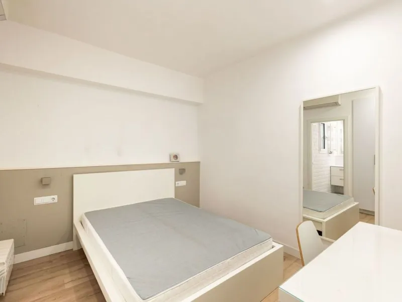 Renovated Apartment Near the Sagrada Família in Barcelona