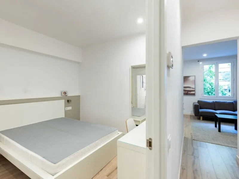 Renovated Apartment Near the Sagrada Família in Barcelona