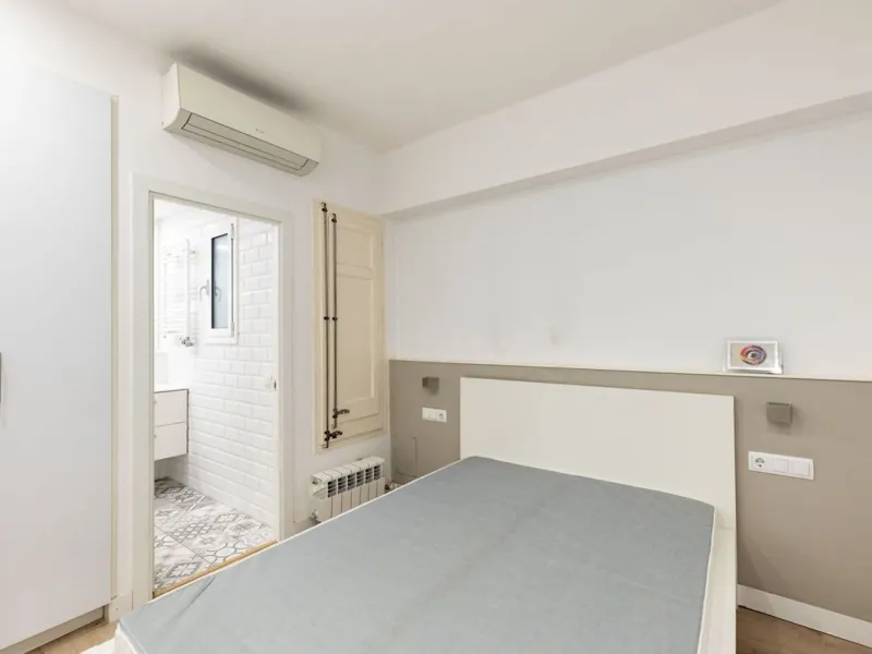 Renovated Apartment Near the Sagrada Família in Barcelona