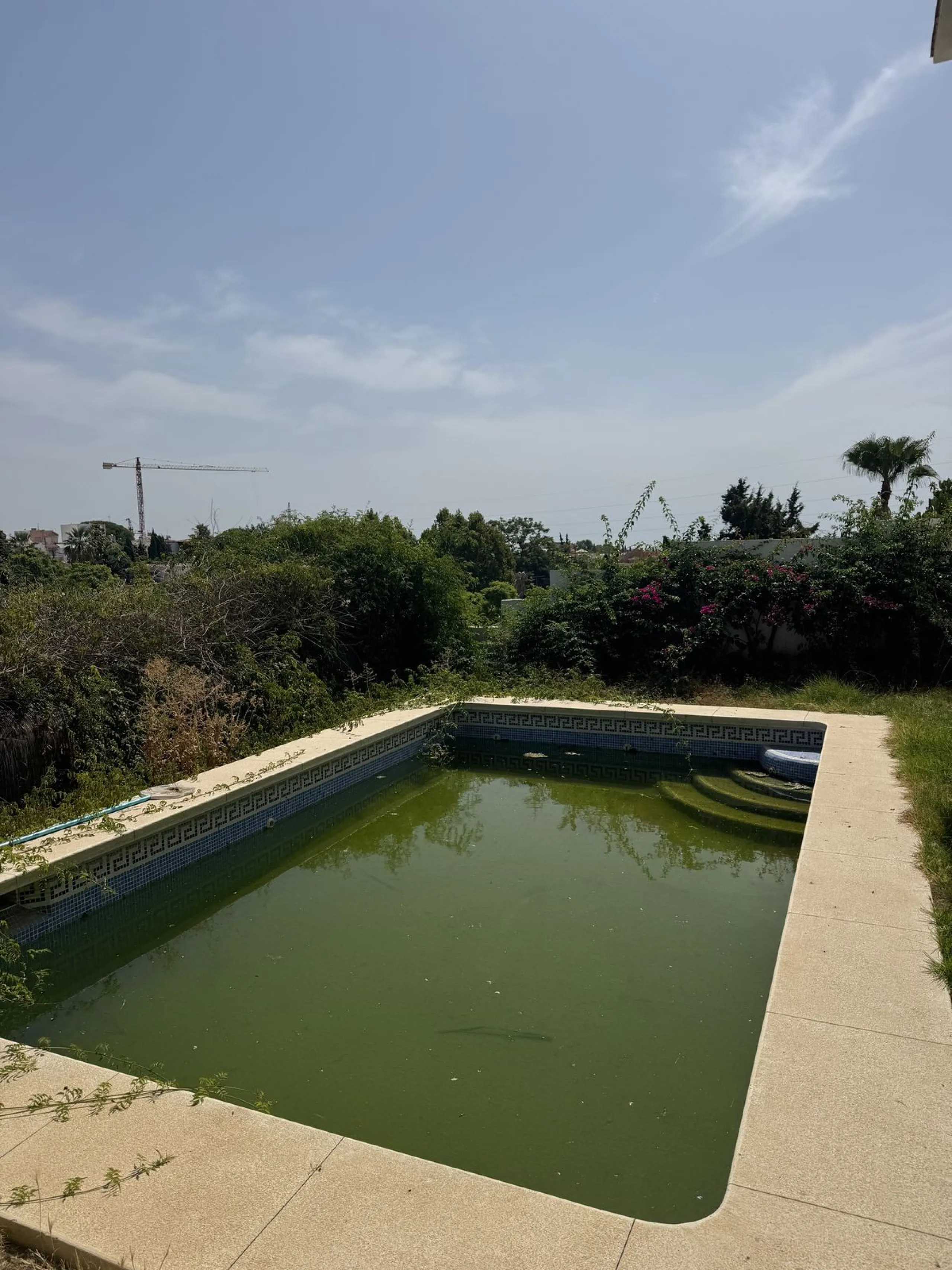 Rare Investment Opportunity – Nueva Andalucía Luxury Villa