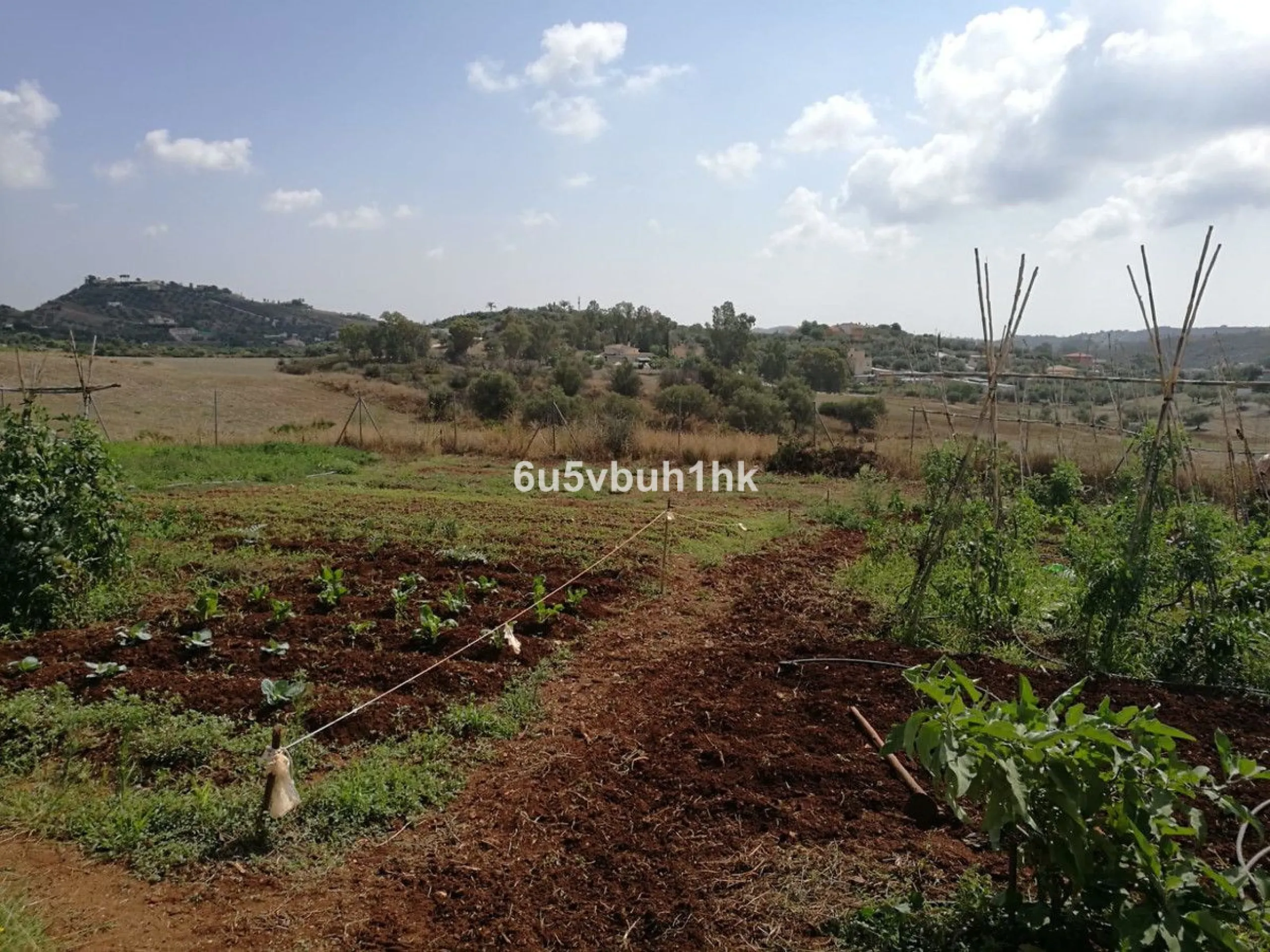 Charming country property in Entrerríos, ideal for those seeking peace, nature, and good access. With an irrigated plot of 11,576 m² and three water points, this property offers multiple possibilities—as a permanent residence, a countryside retreat, or an