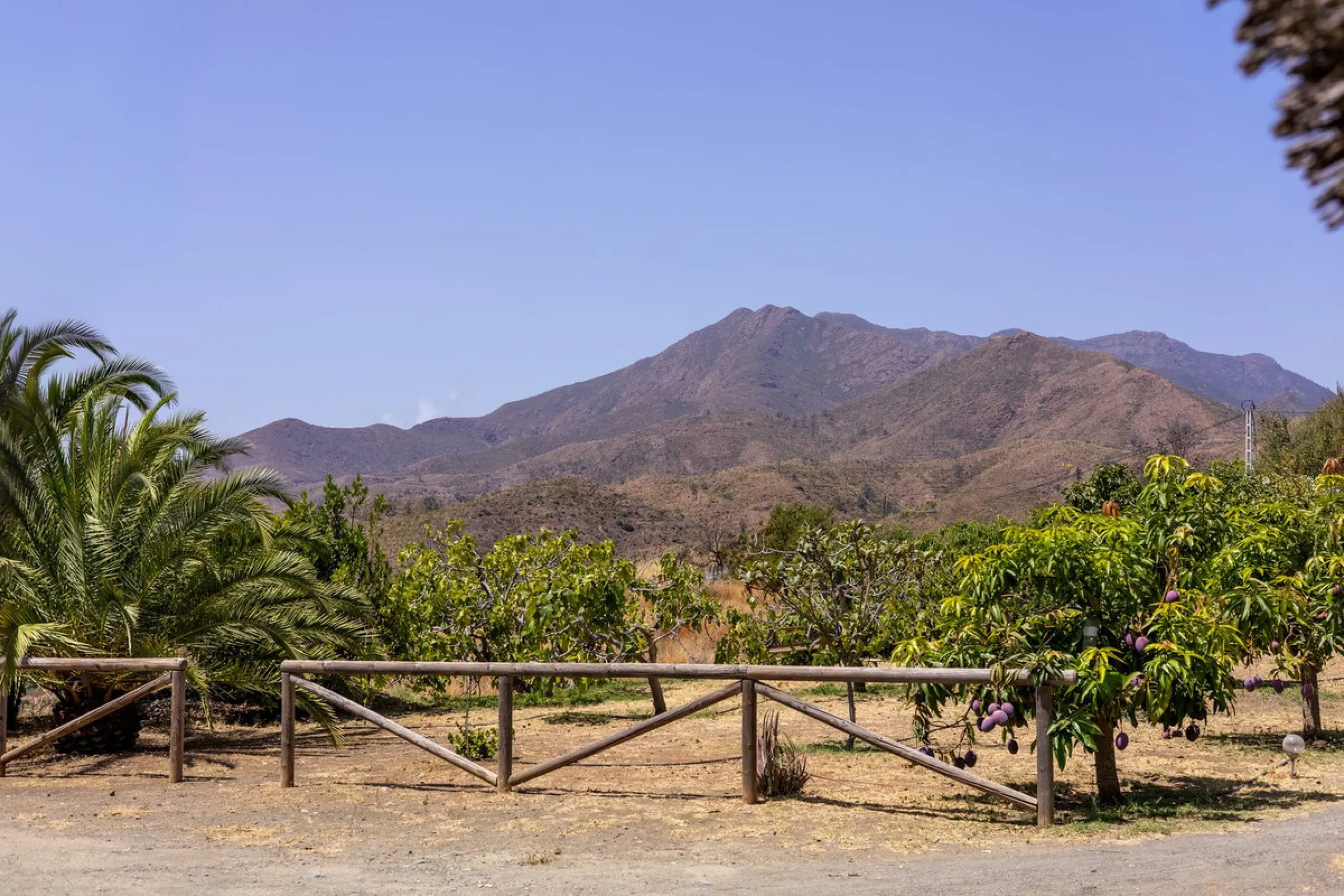 A Spectacular, Self-Sufficient, Country Villa with Mature Grounds and Income Potential