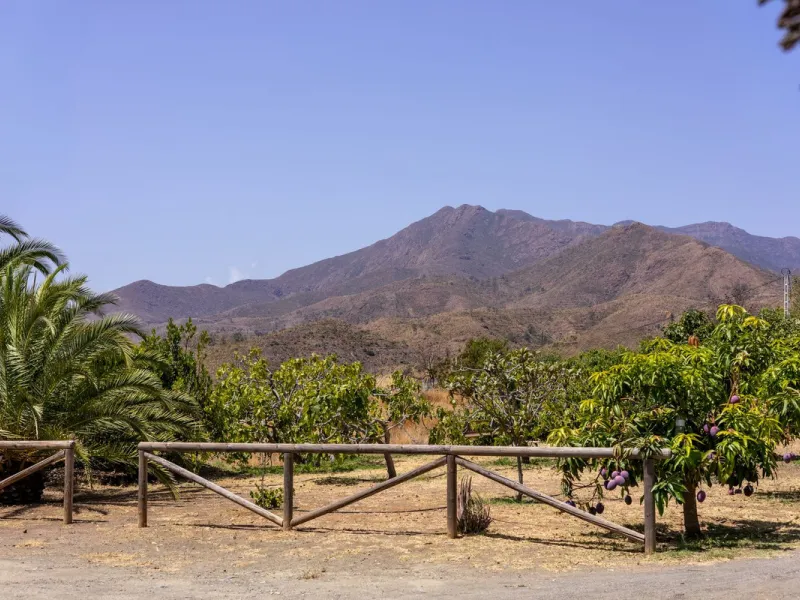 A Spectacular, Self-Sufficient, Country Villa with Mature Grounds and Income Potential