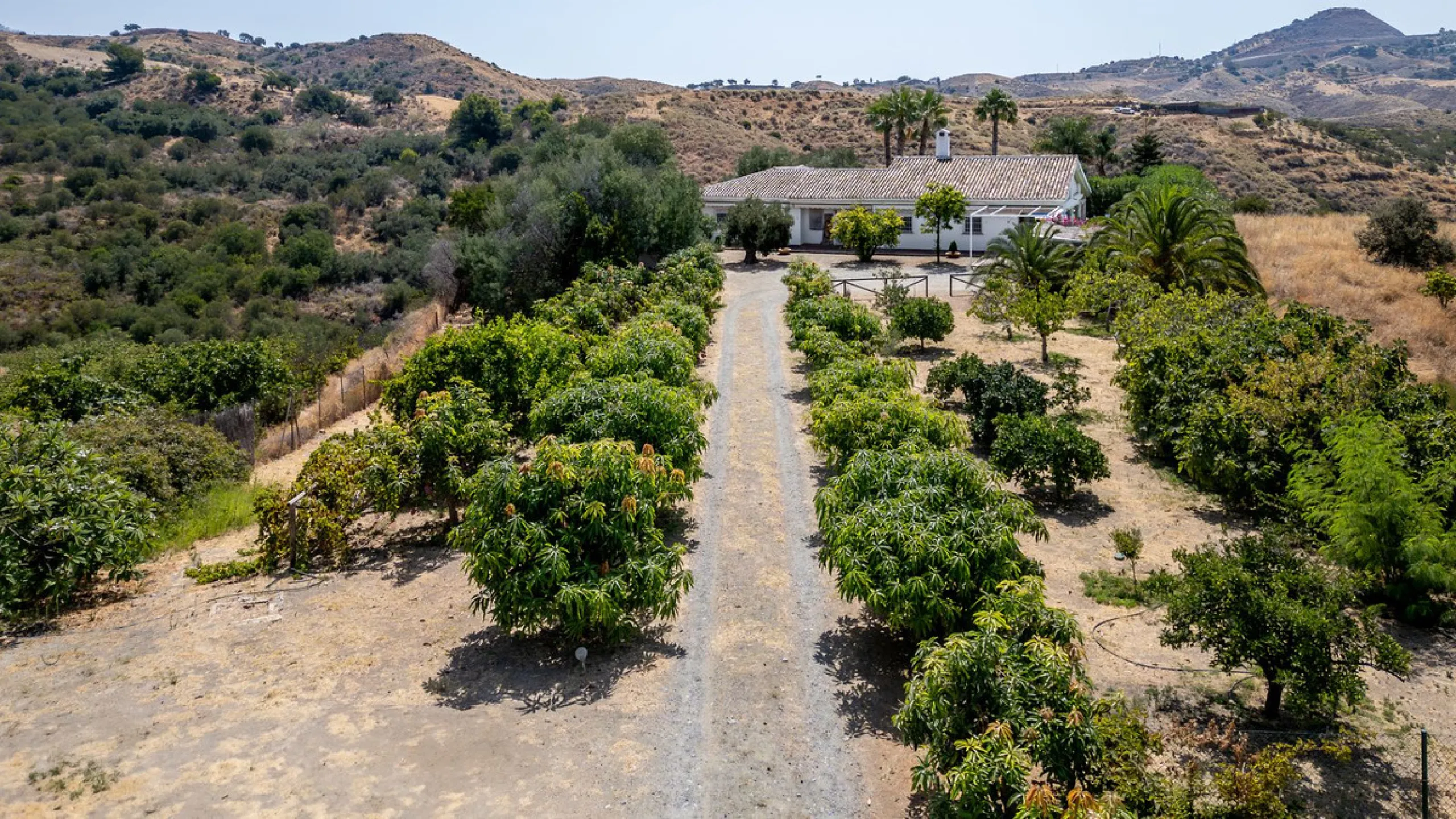 A Spectacular, Self-Sufficient, Country Villa with Mature Grounds and Income Potential