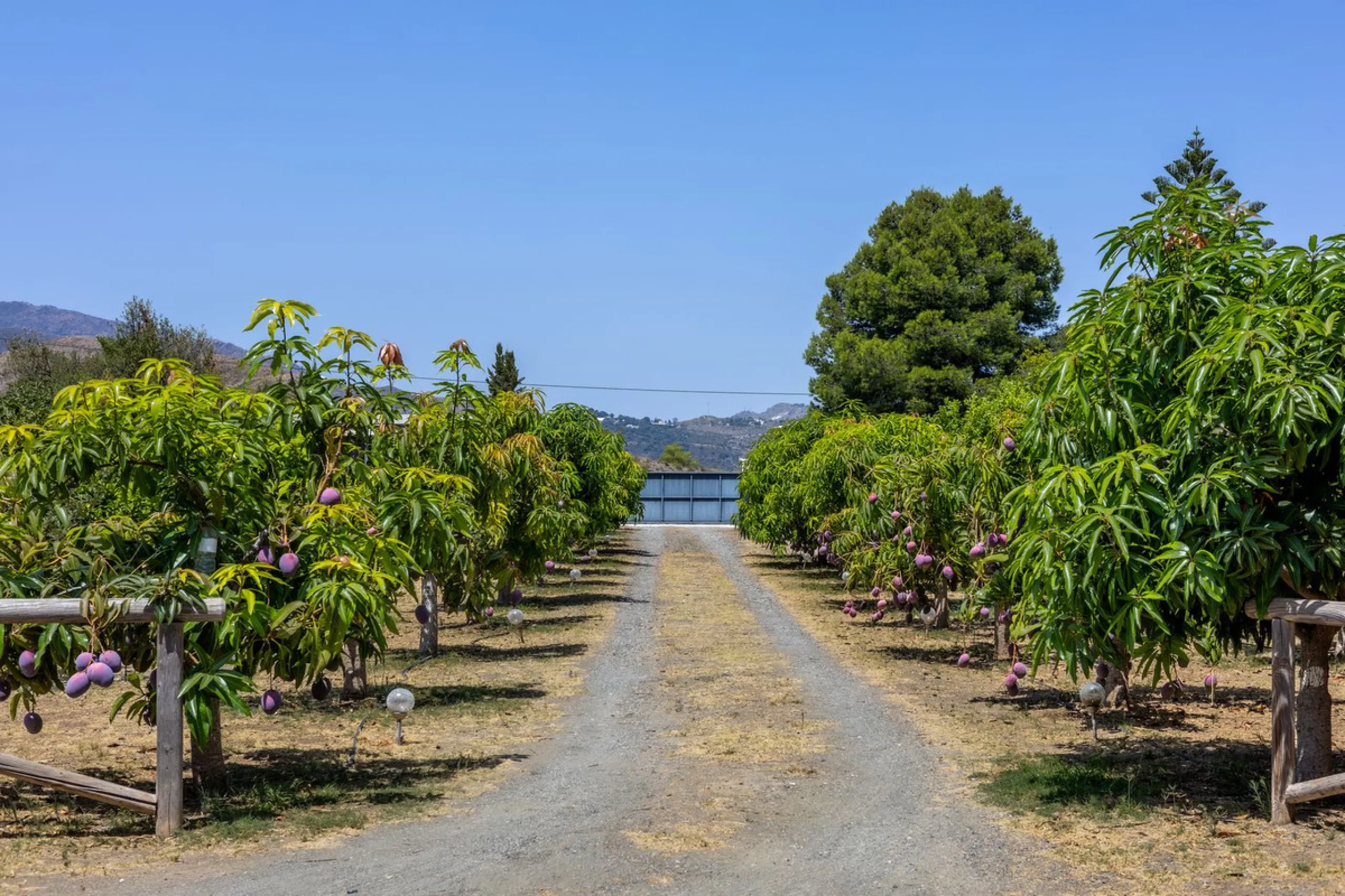 A Spectacular, Self-Sufficient, Country Villa with Mature Grounds and Income Potential