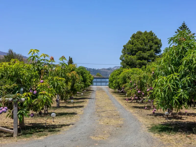 A Spectacular, Self-Sufficient, Country Villa with Mature Grounds and Income Potential