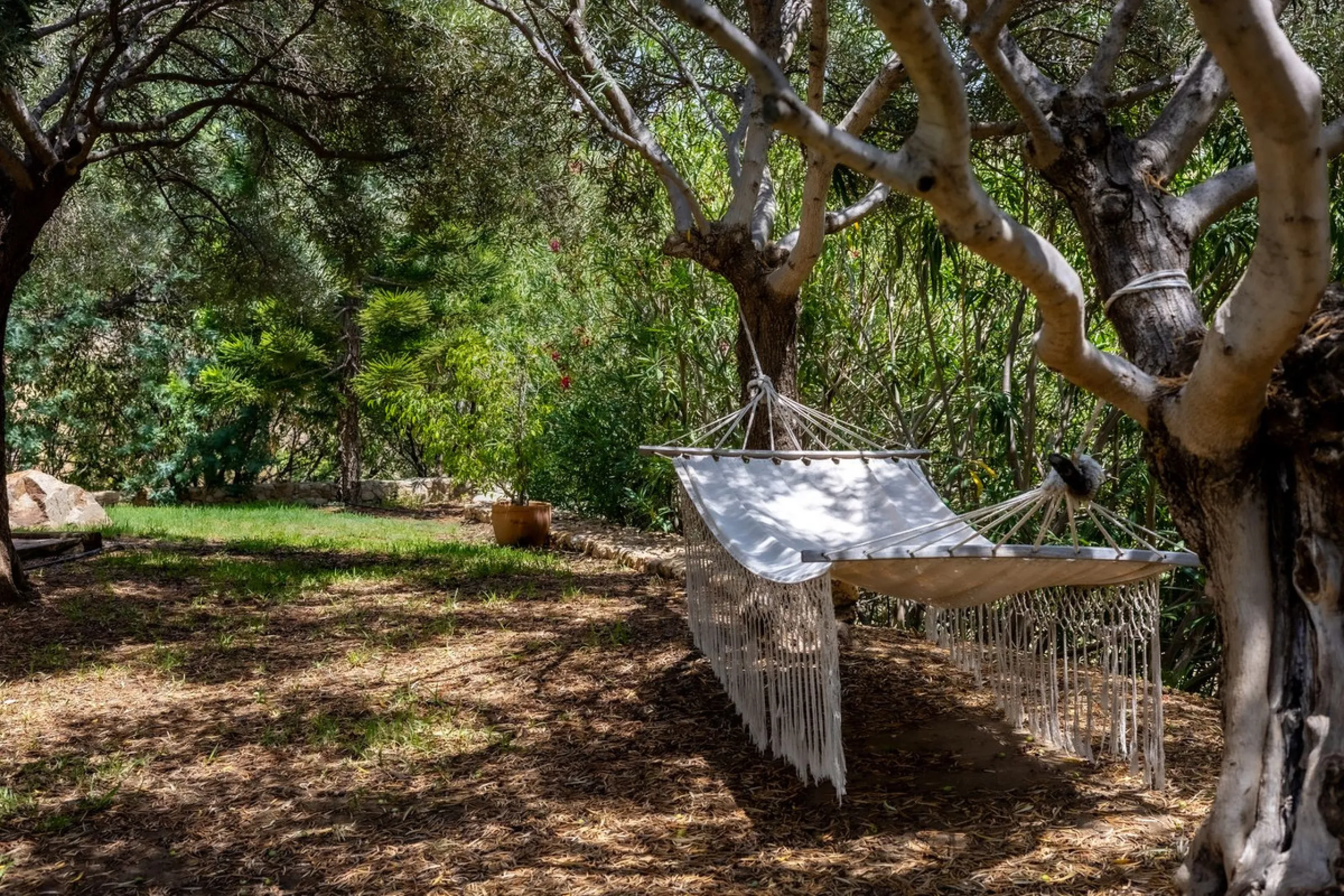 A Spectacular, Self-Sufficient, Country Villa with Mature Grounds and Income Potential