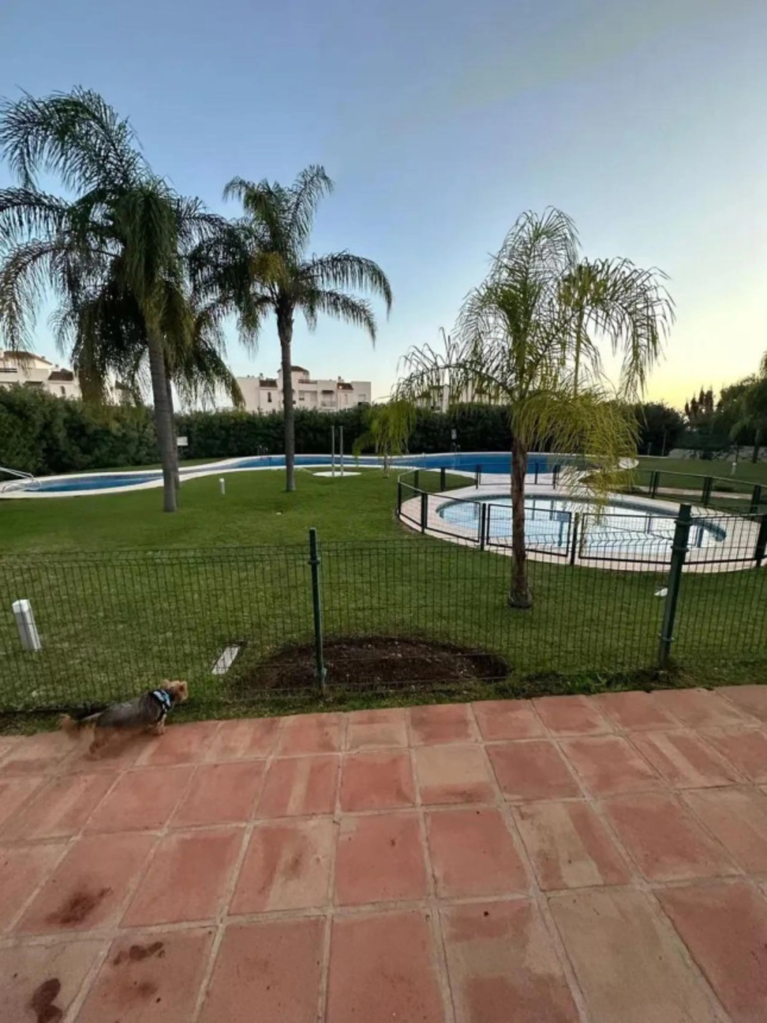 Ground Floor Apartment, Nueva Andalucía, Costa del Sol.