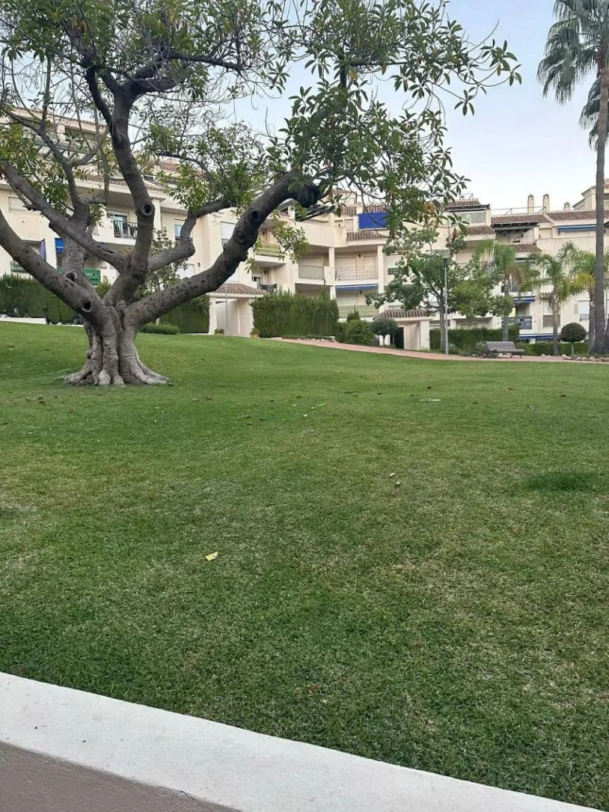 Ground Floor Apartment, Nueva Andalucía, Costa del Sol.