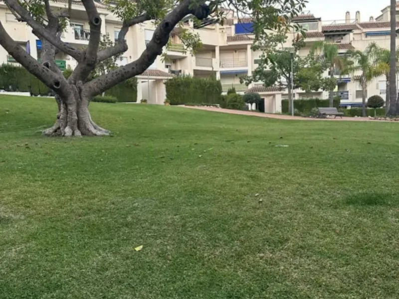 Ground Floor Apartment, Nueva Andalucía, Costa del Sol.