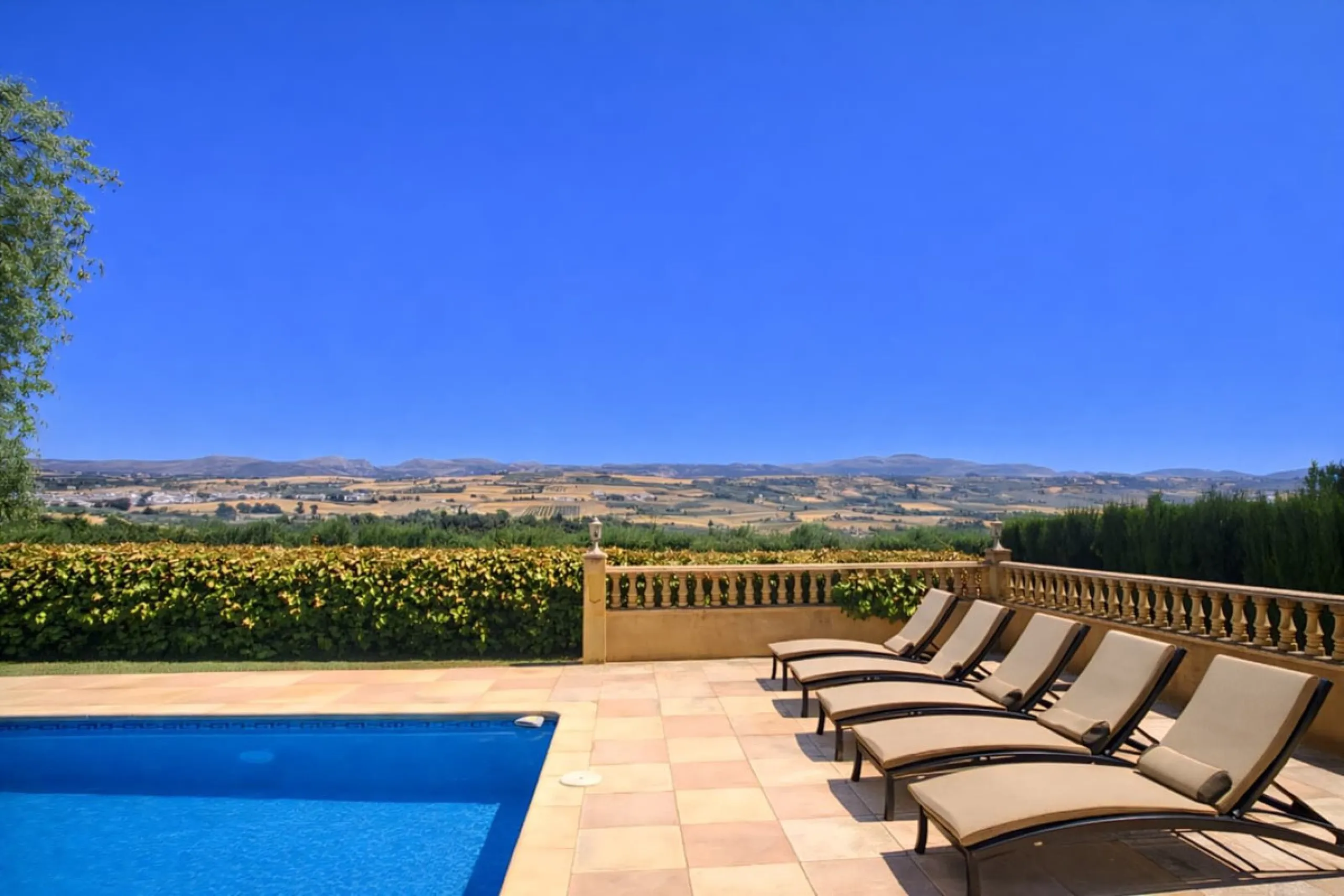 Finca with panoramic views in Ronda with private pool, productive olive grove and Andalusian house · Ideal rural tourism investment