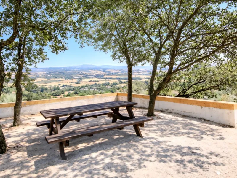 Finca with panoramic views in Ronda with private pool, productive olive grove and Andalusian house · Ideal rural tourism investment