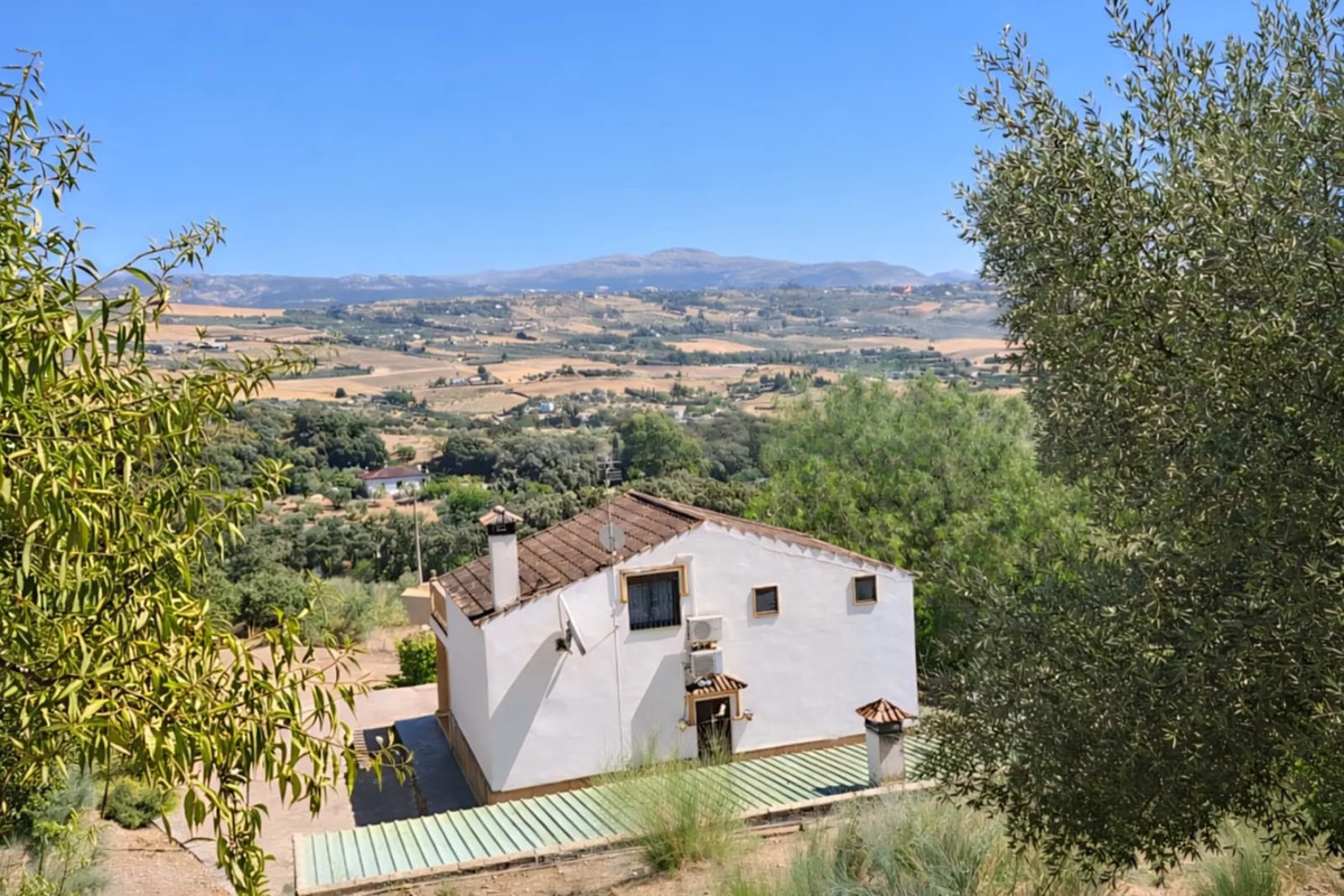Finca with panoramic views in Ronda with private pool, productive olive grove and Andalusian house · Ideal rural tourism investment