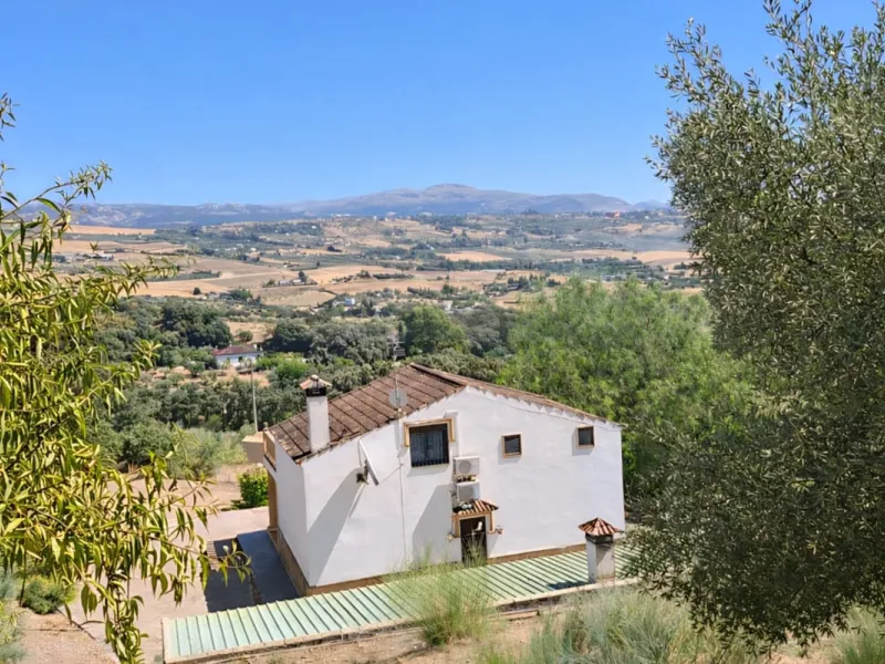 Finca with panoramic views in Ronda with private pool, productive olive grove and Andalusian house · Ideal rural tourism investment