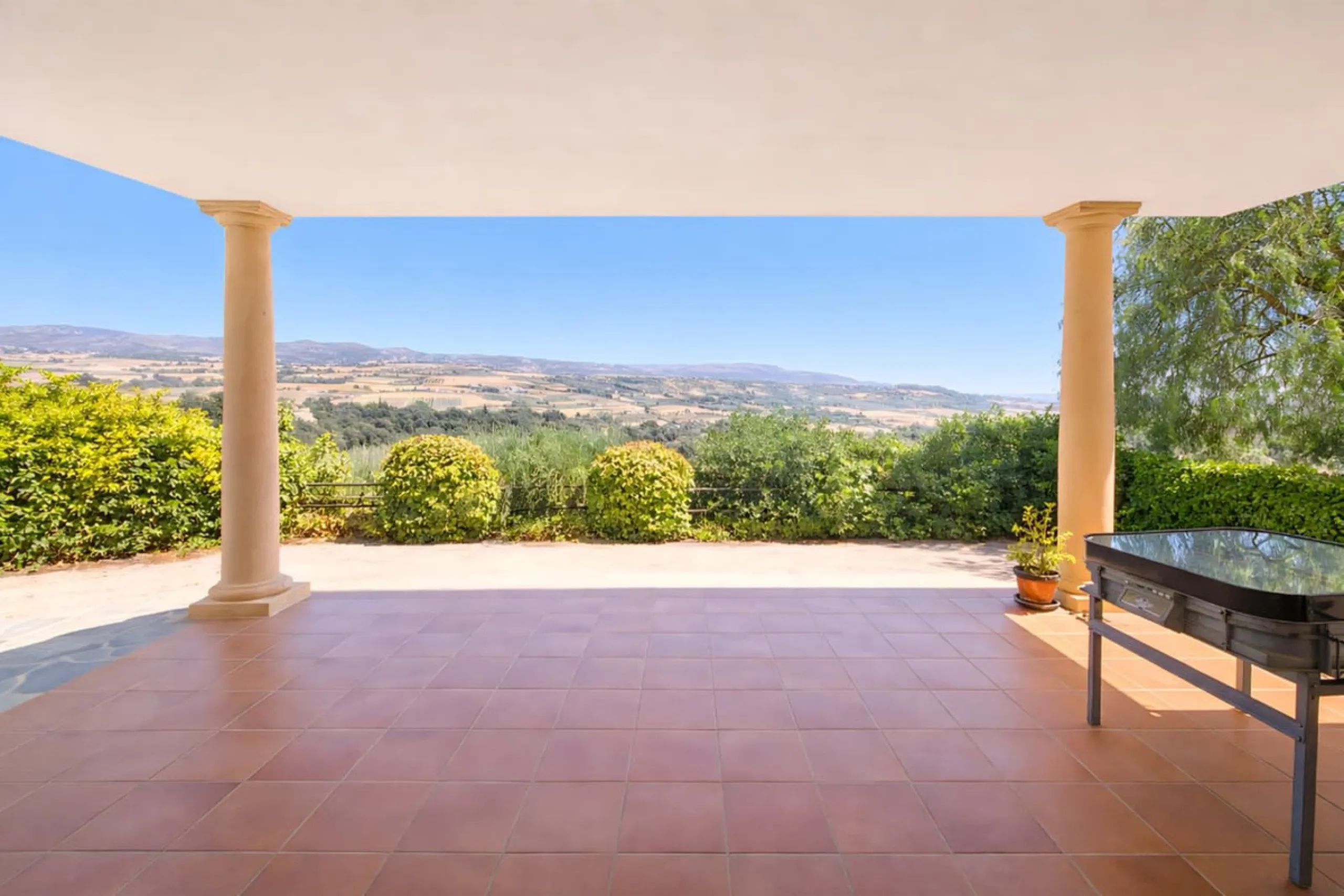 Finca with panoramic views in Ronda with private pool, productive olive grove and Andalusian house · Ideal rural tourism investment