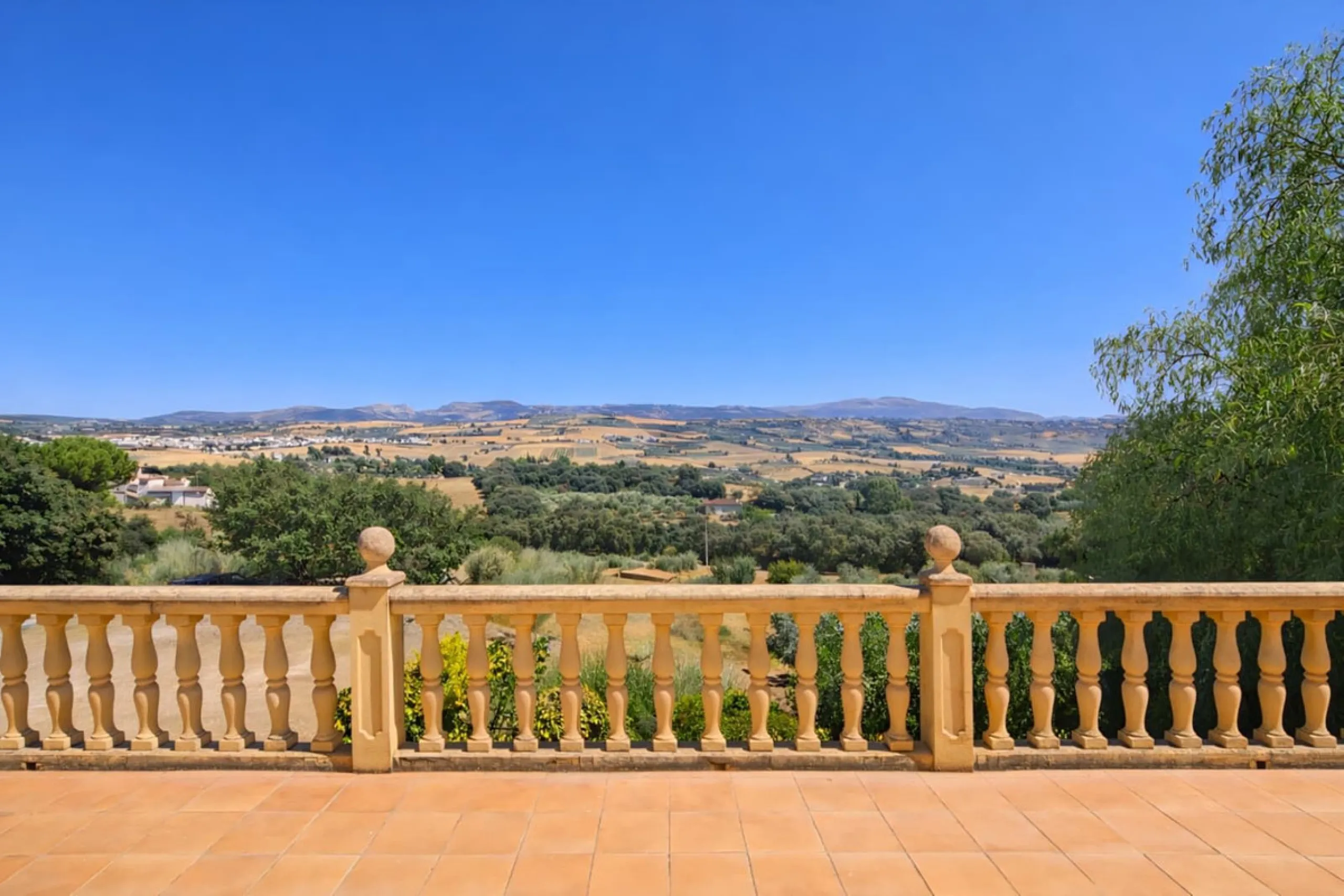 Finca with panoramic views in Ronda with private pool, productive olive grove and Andalusian house · Ideal rural tourism investment