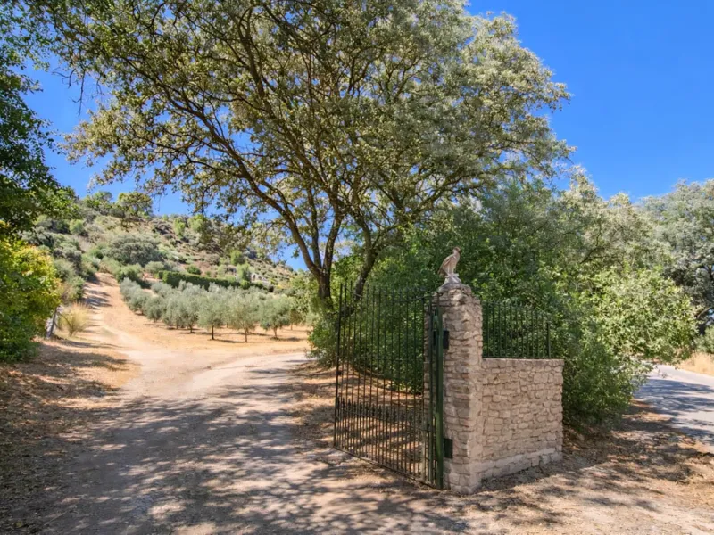 Finca with panoramic views in Ronda with private pool, productive olive grove and Andalusian house · Ideal rural tourism investment