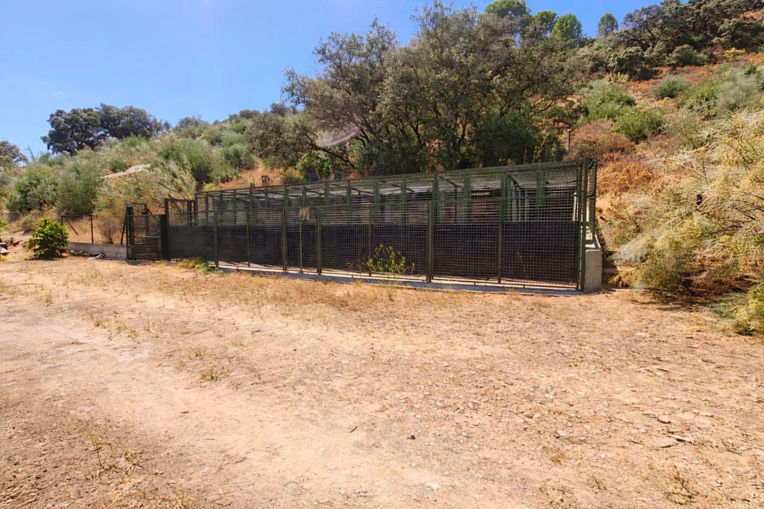 Finca with panoramic views in Ronda with private pool, productive olive grove and Andalusian house · Ideal rural tourism investment