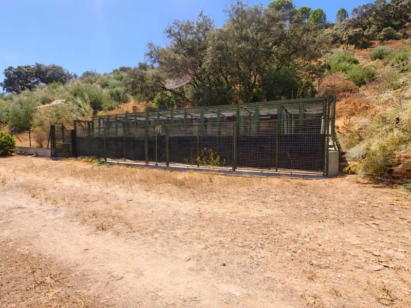 Finca with panoramic views in Ronda with private pool, productive olive grove and Andalusian house · Ideal rural tourism investment