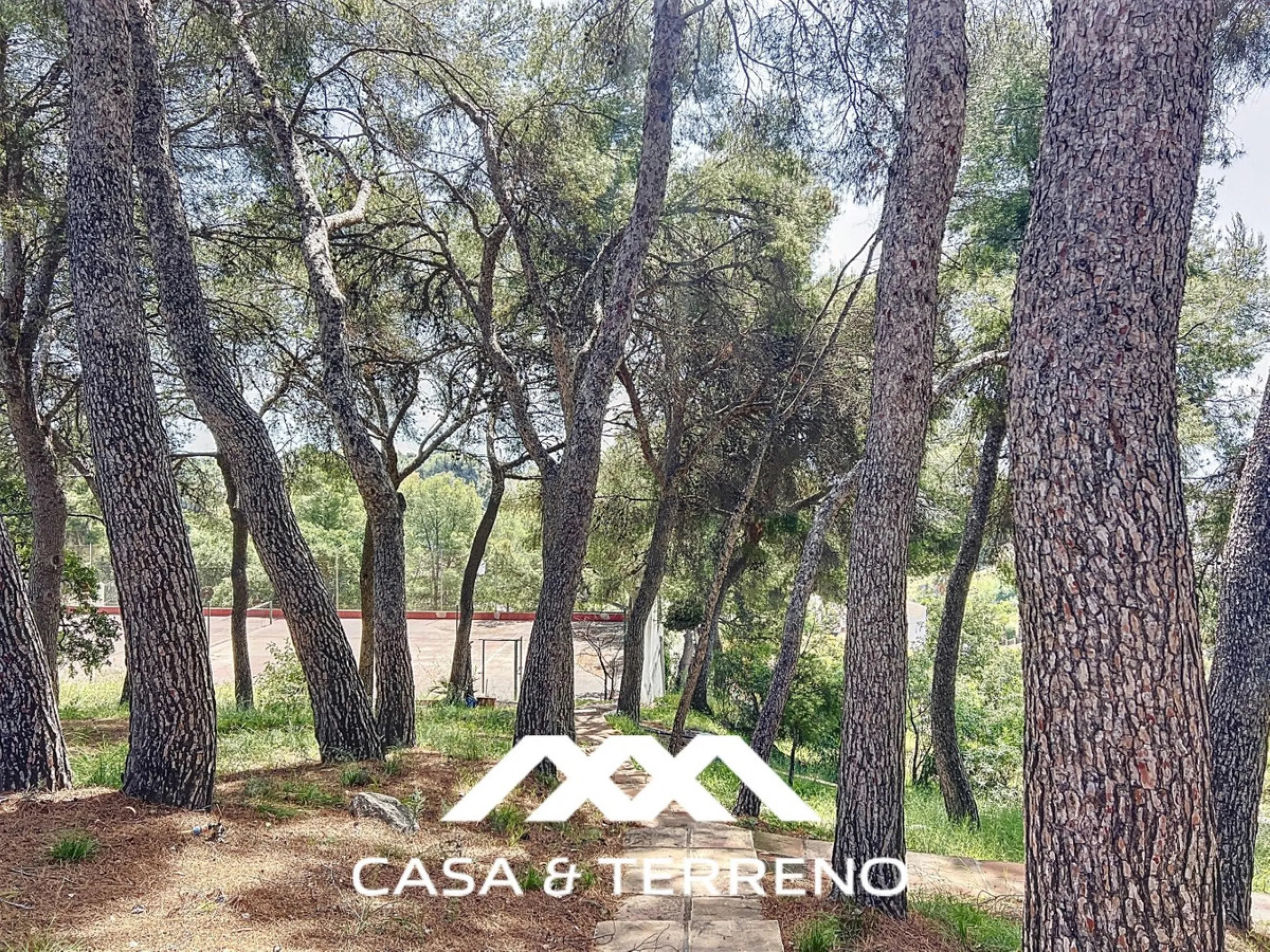 Located between Frigiliana and Nerja, this charming Andalusian-style property combines a comfortable main house with extraordinary exteriors, set on a spectacular plot of over 6,000 m2. Surrounded by mature pine trees and with complete privacy, this finca