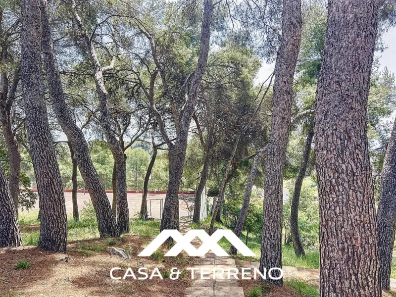 Located between Frigiliana and Nerja, this charming Andalusian-style property combines a comfortable main house with extraordinary exteriors, set on a spectacular plot of over 6,000 m2. Surrounded by mature pine trees and with complete privacy, this finca