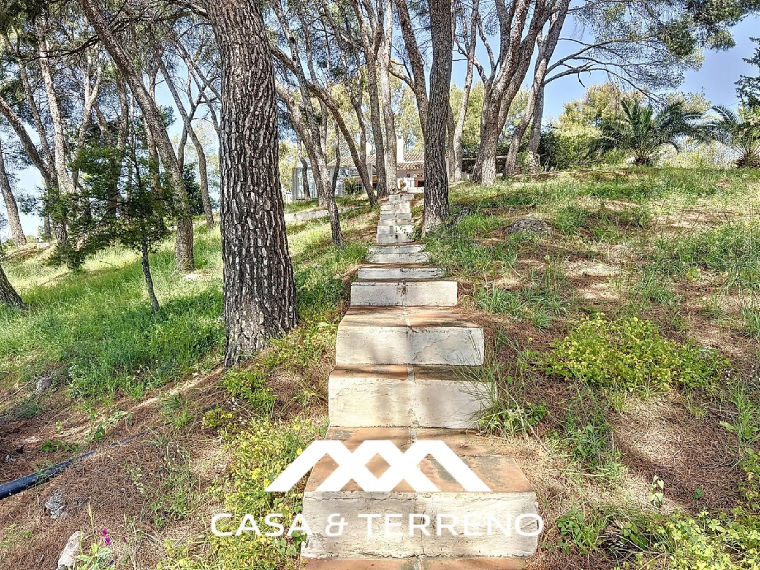 Located between Frigiliana and Nerja, this charming Andalusian-style property combines a comfortable main house with extraordinary exteriors, set on a spectacular plot of over 6,000 m2. Surrounded by mature pine trees and with complete privacy, this finca
