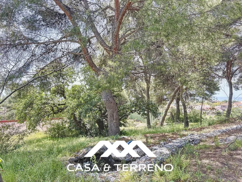 Located between Frigiliana and Nerja, this charming Andalusian-style property combines a comfortable main house with extraordinary exteriors, set on a spectacular plot of over 6,000 m2. Surrounded by mature pine trees and with complete privacy, this finca