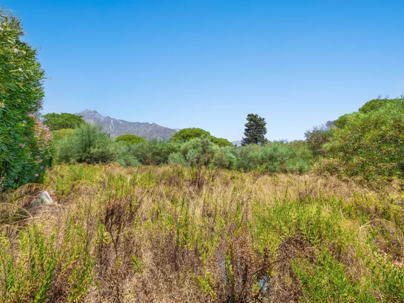Plot - Land в продаже в Marbella, Málaga. Площадь дома 1165 м². Площадь участка 1165 м²