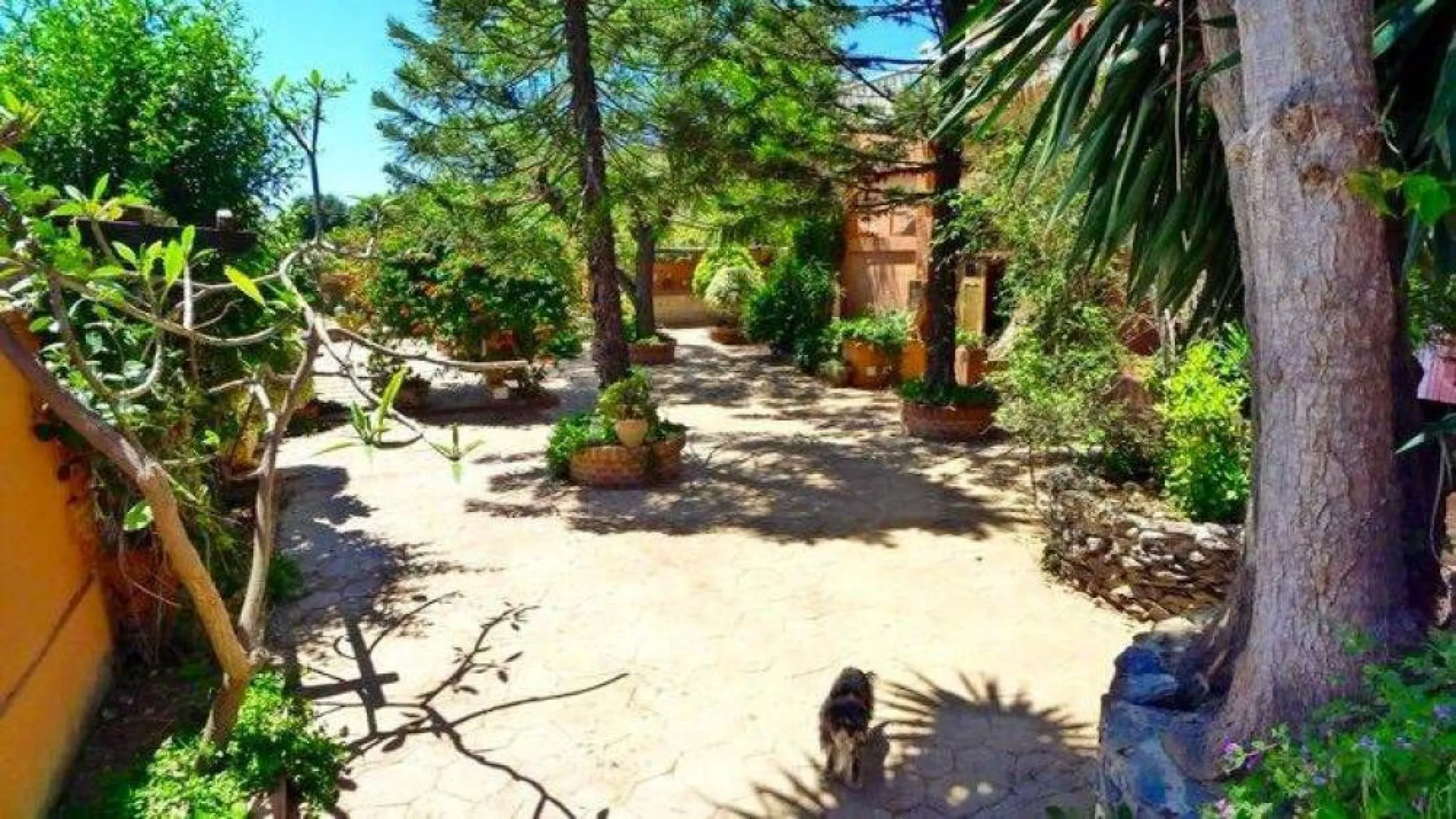 This historic property is a large renovated old Mill, previously a working flour mill for the Larios family until approximately 60 years ago named Molino San Jose. The villa has three bedrooms, three bathrooms, two lounges and two car parking spaces. Ther