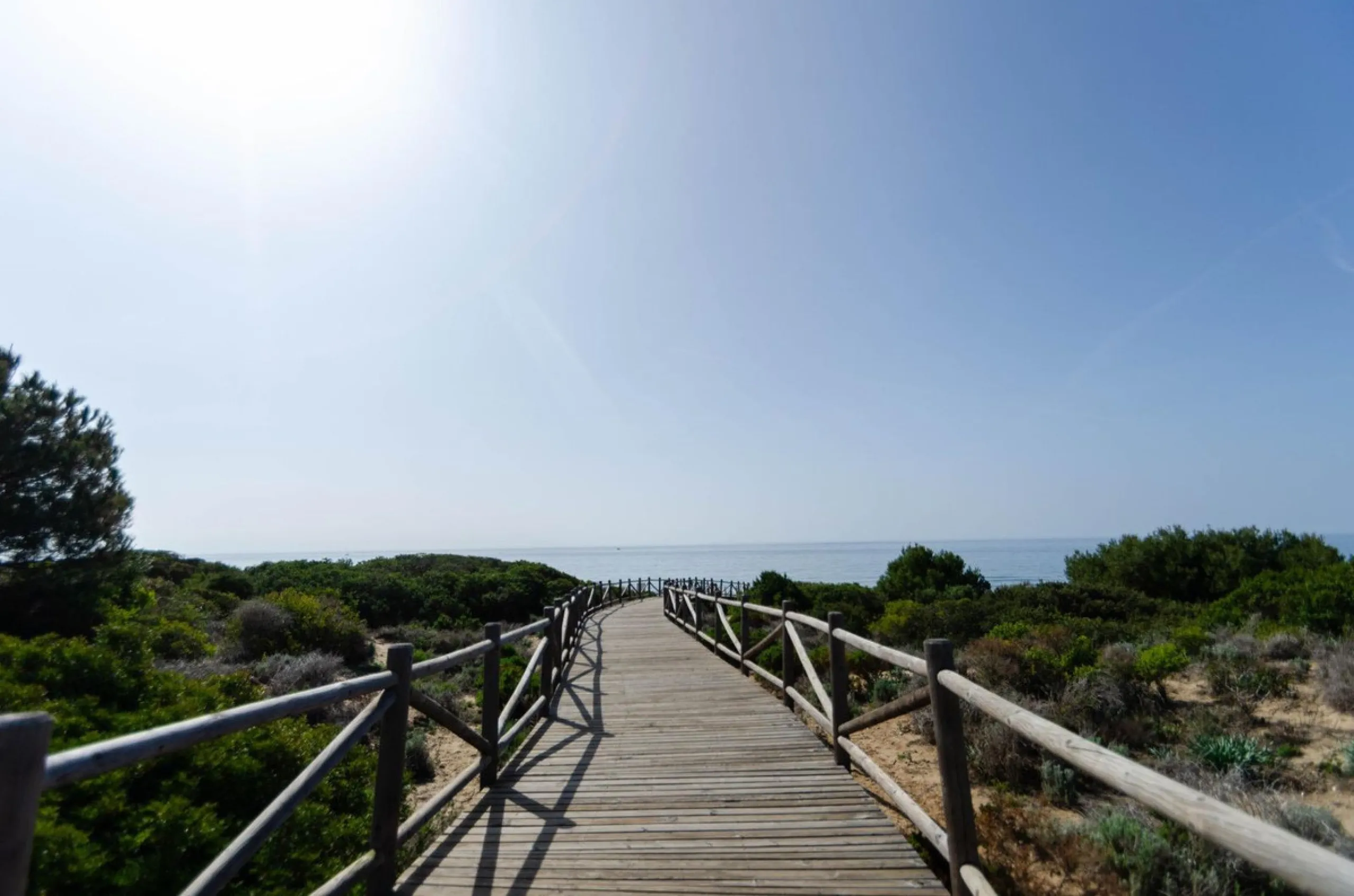 ✨ Living next to the Artola dunes and the best beach in Marbella ✨