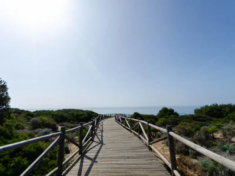 ✨ Living next to the Artola dunes and the best beach in Marbella ✨