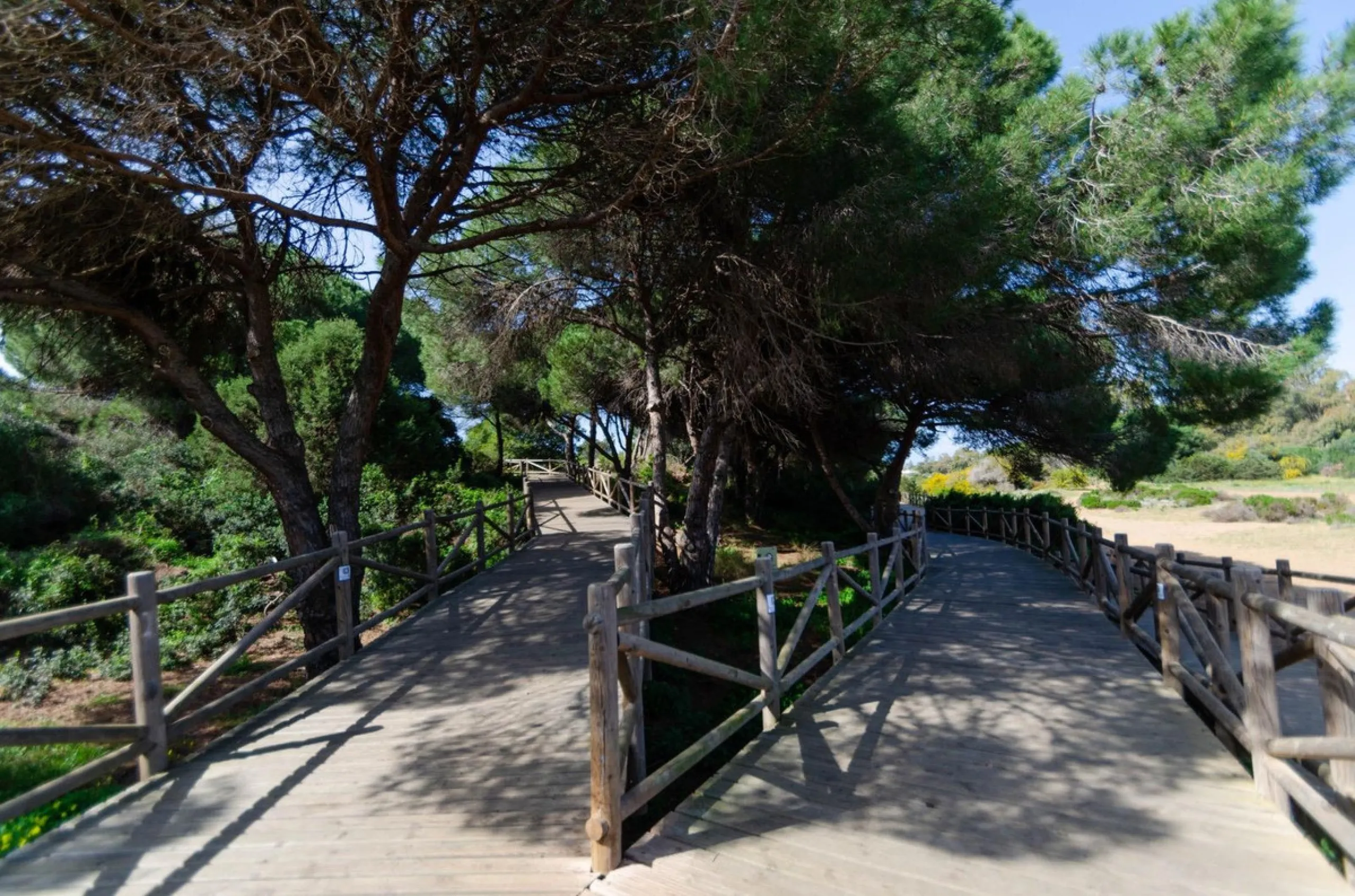 ✨ Living next to the Artola dunes and the best beach in Marbella ✨