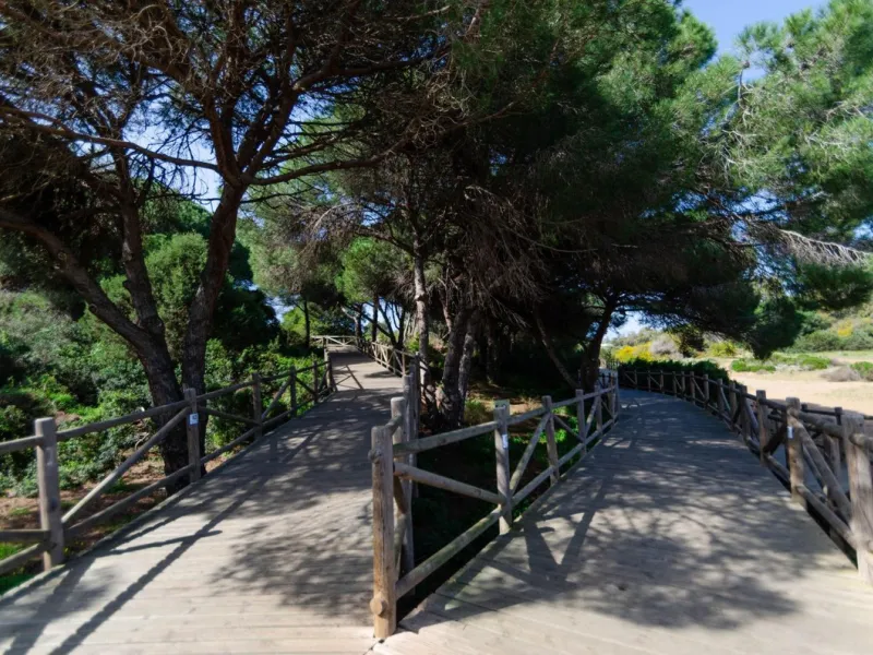 ✨ Living next to the Artola dunes and the best beach in Marbella ✨