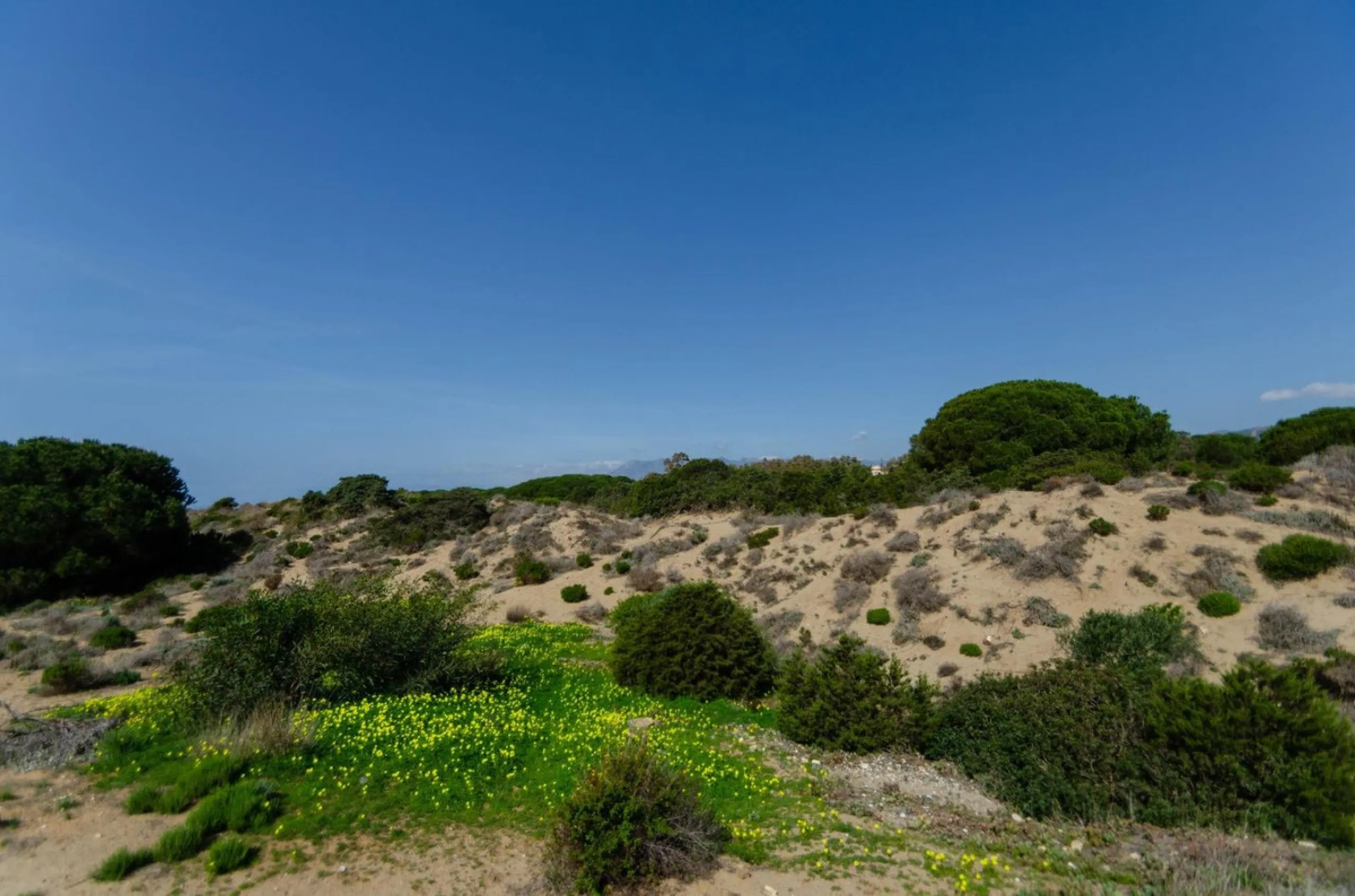 ✨ Living next to the Artola dunes and the best beach in Marbella ✨